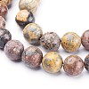 Natural Leopard Skin Jasper Round Bead Strands G-P070-77-4mm-2
