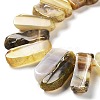 Natural Botswana Agate Beads Strands G-L551B-15-3