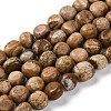 Natural Picture Jasper Beads Strands G-G146-A01-02-1