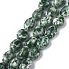 Natural Green Spot Jasper Beads Strands G-Z006-A22-1