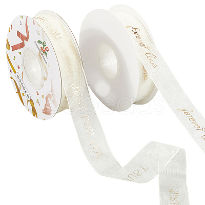 2 Rolls 2 Styles Chiffon Lace Trim for Sewing Decoration OCOR-CY0001-65B-1