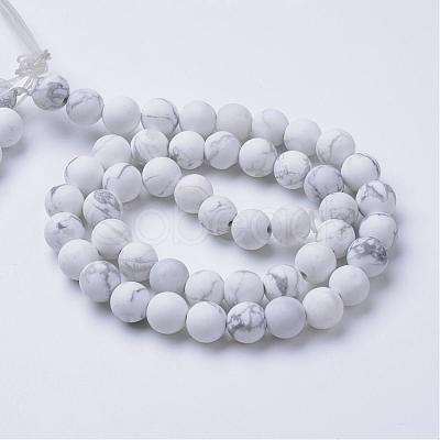 Natural Howlite Beads Strands G-T055-6mm-02-1