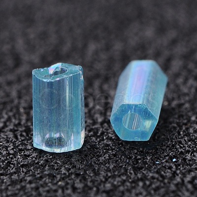 Two Cut Glass Seed Beads CSDB163-1