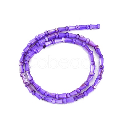 Natural Freshwater Shell Beads Strands SHEL-G013-02F-1