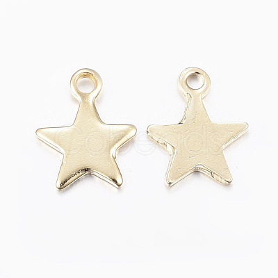 304 Stainless Steel Charms STAS-H436-51-1