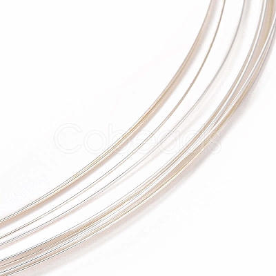 925 Sterling Silver Wire STER-D002-0.4mm-A-1