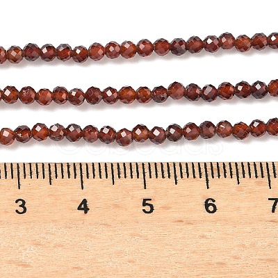Natural Garnet Beads Strands G-H079-A01-03C-01-1
