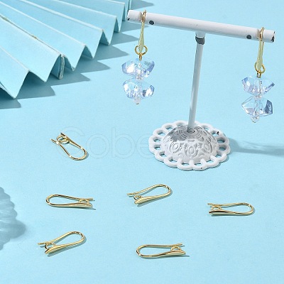 SHEGRACE Brass Earring Hooks XGR0003G-42G-1