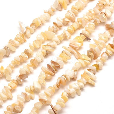 Natural Freshwater Shell Chip Bead Strands G-M205-20-1