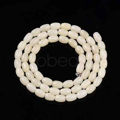 Natural White African Opal Beads Strands G-N346-02A-10-1