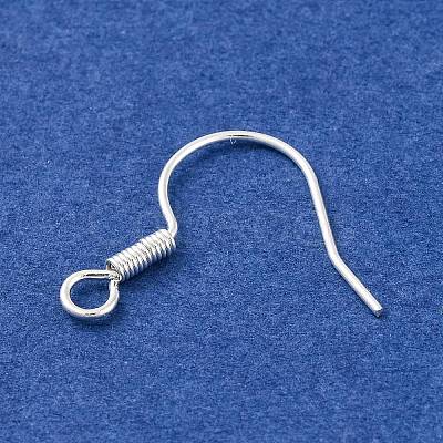 Brass Earring Hooks KK-Q363-S-NF-1
