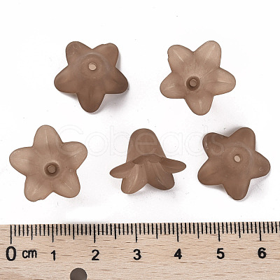 Transparent Acrylic Beads PLF018-14-1