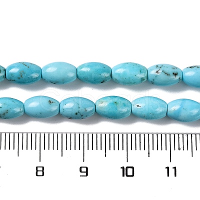 Natural Howlite Beads Strands G-H025-02B-1