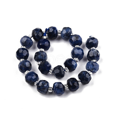 Natural Sodalite Beads Strands G-N327-08X-1