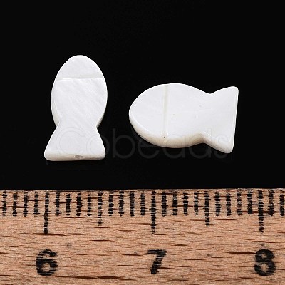 Natural Freshwater Shell Beads SHEL-T020-65-1