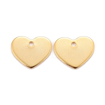 201 Stainless Steel Charms X-STAS-K217-76G-1