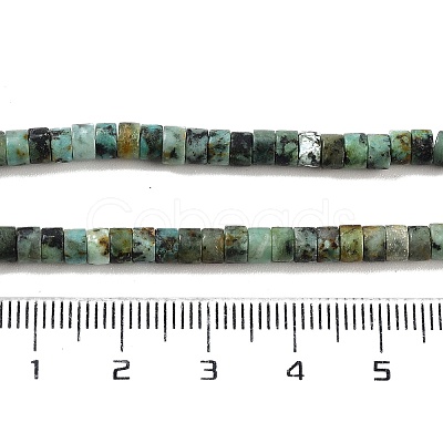 Natural African Turquoise(Jasper) Beads Strands X-G-A220-B03-01-1