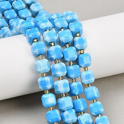 Natural Howlite Beads Strands G-C025-01B-1