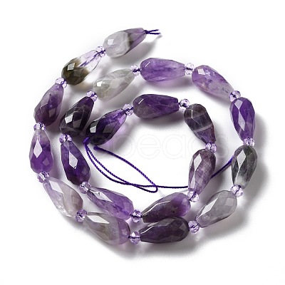 Natural Amethyst Beads Strands G-B028-A10-1