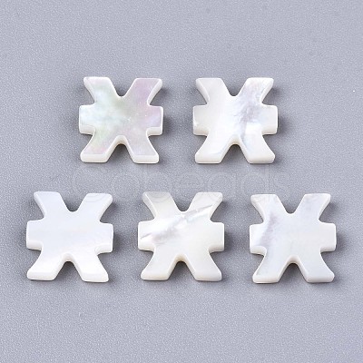 Natural White Shell Beads SSHEL-ZX004-02E-1
