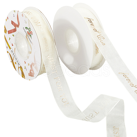 2 Rolls 2 Styles Chiffon Lace Trim for Sewing Decoration OCOR-CY0001-65B-1