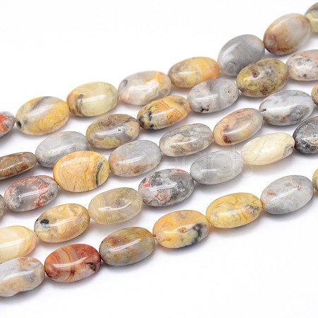 Natural Crazy Lace Agate Flat Oval Bead Strands G-M206-18-1