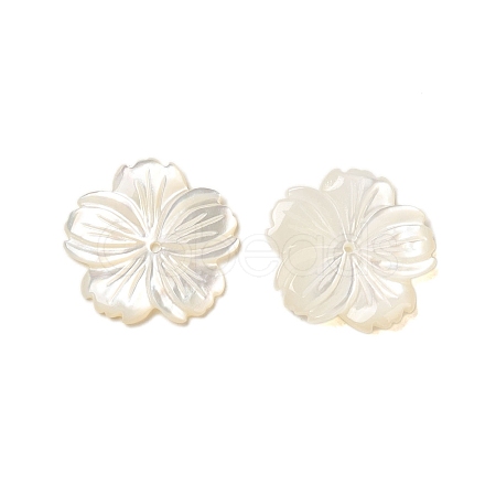 Natural White Shell Beads SHEL-M021-08A-1
