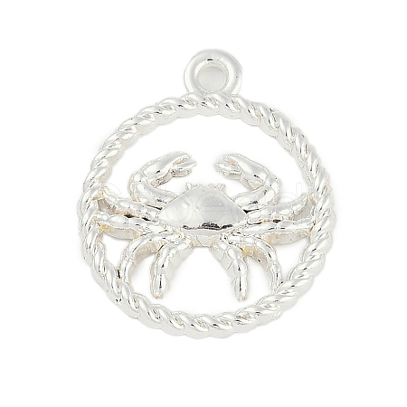 Twelve Constellations Alloy Pendants PALLOY-Q006-01A-S-1