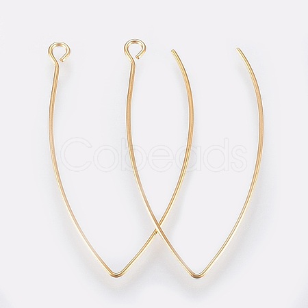 Ion Plating(IP) 304 Stainless Steel Earring Hooks STAS-K184-05-01G-A-1