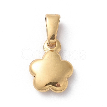 304 Stainless Steel charms STAS-I127-005G-1