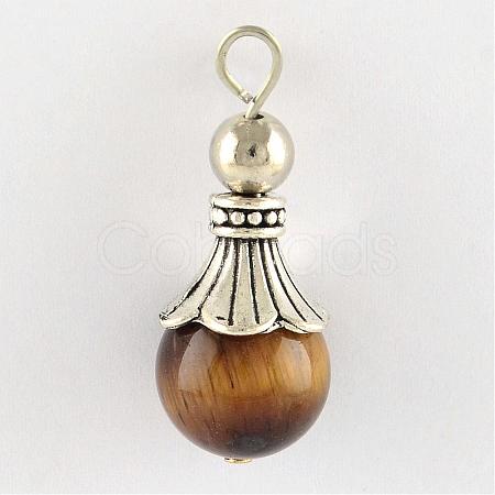 Natural Tiger Eye Pendants G-Q459-02L-1