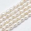 Natural Cultured Freshwater Pearl Beads Strands PEAR-F007-83-1