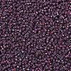 MIYUKI Delica Beads SEED-X0054-DB1012-3