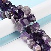 Natural Amethyst Beads Strands G-B065-A02-2