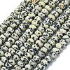 Natural Dalmatian Jasper Beads Strands G-P575-A01-8x5mm-2