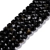 Natural Golden Sheen Obsidian Beads Strands G-C229-01B-1