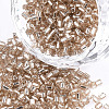 FGB Grade A Glass Seed Beads SEED-S022-04A-08-1