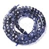 Natural Cordierite/Iolite/Dichroite Beads Strands G-E560-A19-2