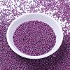 MIYUKI Delica Beads SEED-J020-DB1015-2
