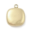 316 Surgical Stainless Steel Charms STAS-S159-02C-G-1