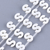 Natural Freshwater Shell Beads SHEL-T012-59S-1