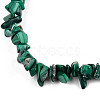 Unisex Chip Natural Malachite Beaded Stretch Bracelets BJEW-S143-34-3