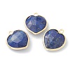 Natural Lapis Lazuli Pendants G-B009-03G-C-1