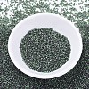 MIYUKI Delica Beads SEED-MY11-DB0690-2