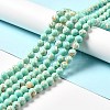 Synthetic Turquoise and Sea Shell Assembled Beads Strands G-D482-01E-08-1