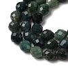 Natural Moss Agate Beads Strands G-K376-F16-01-4