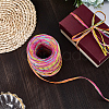 6 Colors Raffia Paper Cords OCOR-WH0063-110A-7