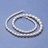 Natural Cultured Freshwater Pearl Graduated Beads Strands PEAR-P060-05A-01-2