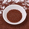 MIYUKI Delica Beads SEED-MY11-DB0794-2