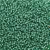 TOHO 11/0 Round Beads X-SEED-TR11-2119-2